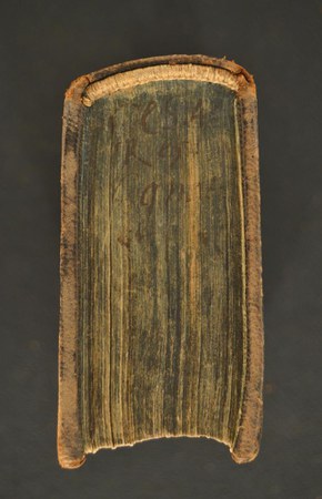 A.V.D.VIII.10 02.JPG