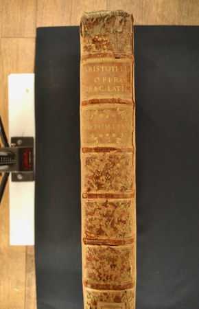 A.V.FF.III.7-2 03.JPG