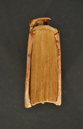 A.V.GG.XIII.42 01.JPG