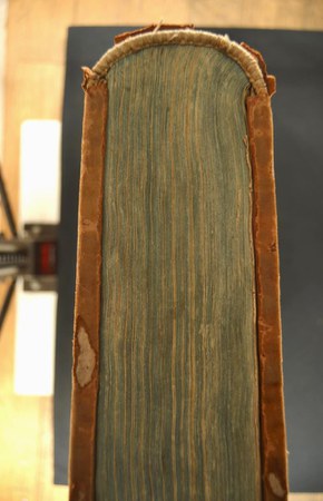 A.V.II.III.14 04.JPG