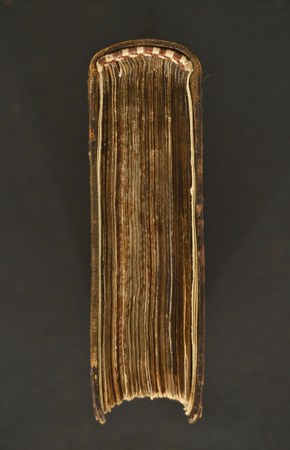 A.V.II.VIII.15 1-7 04.JPG