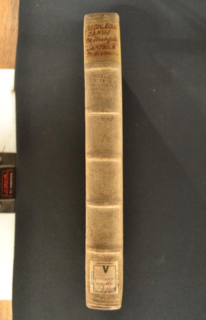 A.V.O.III.7-1 07.JPG