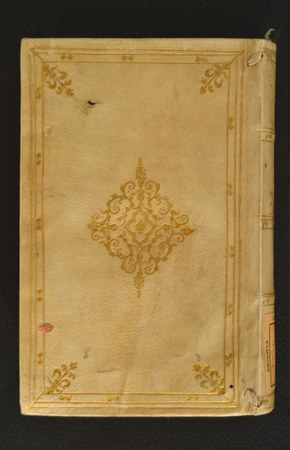 A.V.P.XIII.22 01.JPG