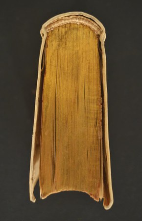 A.V.P.XIII.22 05.JPG