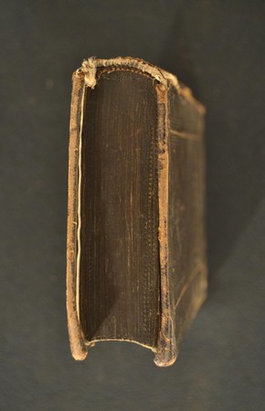 A.V.T.XIII.33 03.JPG