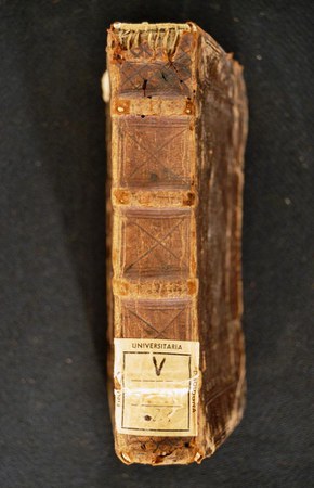 A.V.Y.XIII.25 02.JPG