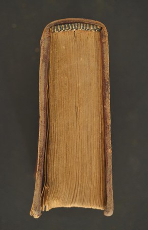 A.VI.E.VII.31 04.JPG