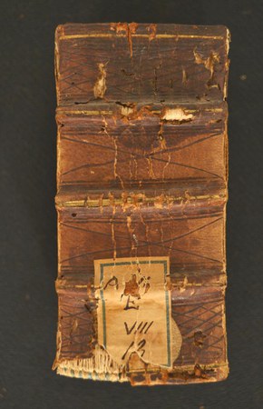 A.VI.E.VIII.13 01.JPG