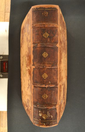 TAB. IV.B.II.15 02.JPG