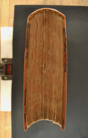 TAB. IV.B.II.15 04.JPG