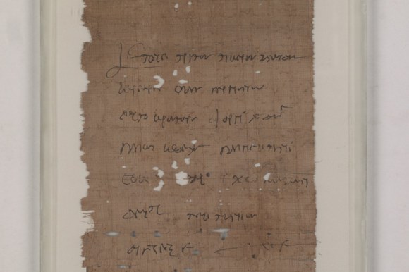 Papyri Bononienses