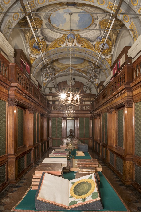 focus centrale, taglio verticale