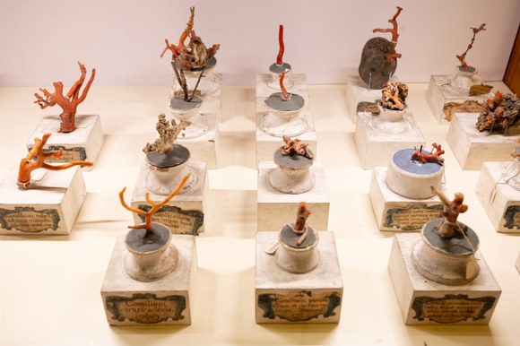 VISITE GUIDATE ALLA BIBLIOTECA UNIVERSITARIA DI BOLOGNA | 6-99 ANNI - mese di febbraio