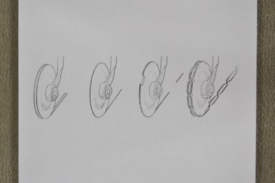 Tipologia di rotelle