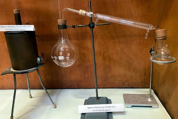 Il primo profumo sez. 3