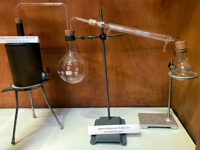 Il primo profumo sez. 3 Il primo profumo sez. 3