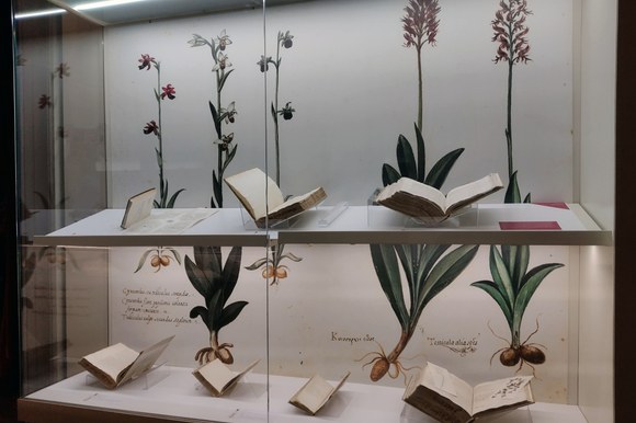 Atrio della Biblioteca Universitaria di Bologna: allestimento della mostra Scienza & bellezza, bacheca A