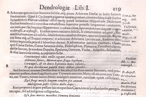 BUB, A.IV.H.III.11-12, p.119