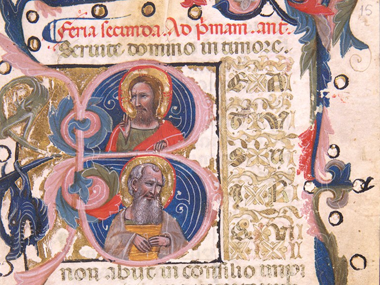 2024 visibile cantare cover 2024 visibile cantare cover