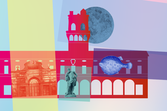 OGNI PIANO UNA SCOPERTA