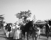 Alberto Sordi sul set del film «I due nemici». Latina, 9.7.1961