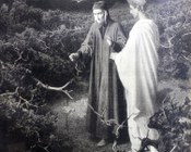 Arpie di Pietro Senno (1831-1904)