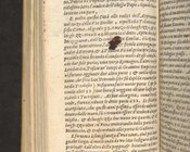 Franz Schott, Itinerario overo nuova descrittione de’ viaggi principali d’Italia, Padova, Matteo Cadorino, 1654, vol. 1, c. 91v