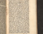 André Thevet, Historia dell’India America detta altramente Francia antartica…, Venezia, Gabriele Giolito de Ferrari, 1561, p. 199