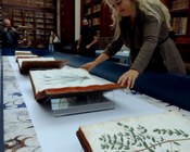 Aula IV del Museo di Palazzo Poggi: allestimento della mostra "Il primo profumo"