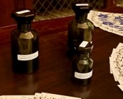 Aula IV del Museo di Palazzo Poggi: inaugurazione della mostra "Il primo profumo"