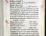 BUB, Ms. 1352. Ricettario galante. Membranaceo, sec. XVI