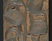 LEDERLEIN CHRISTOPH detto CRISTOFORO CORIOLANO. Tavoletta xilografica; legno di pero; cm 23,2x12,1x 2,3. sec. XVI-XVII (1585-1605). Bologna, Collezione Ulisse Aldrovandi, Museo di Palazzo Poggi, Sistema Museale di Ateneo