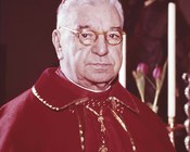 Cardinale Carlo Chiarlo