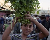 Ph. Luciano Nadalini | Kurdistan iracheno, 2002