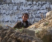 Ph. Luciano Nadalini | Territori palestinesi, gennaio 2002