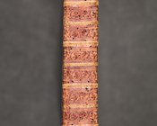 Statuti spettanti al governo della Repubblica di Venezia