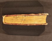 DOMENICO : DA CORELLA, De Origine Urbis Florentiae