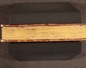 DOMENICO : DA CORELLA, De Origine Urbis Florentiae