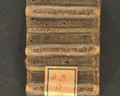 BIBBIA. NUOVO TESTAMENTO, Tes Kaines diathekes hapanta