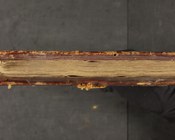 PLANUDES, MAXIMUS, Prolegomena Rhetorices