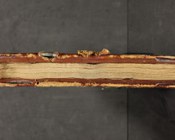 PLANUDES, MAXIMUS, Prolegomena Rhetorices