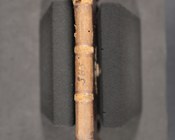 Statuti della Compagnia de’ Fornari di Bologna