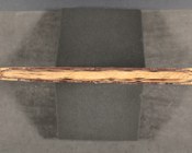 BOCCHI, ACHILLE, De Bononiensium rebus ab urbe condita usque ad annum Christi 1265