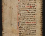 Secreti e remedi per diverse malattie del corpo umano e delle bestie