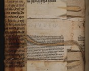 Secreti e remedi per diverse malattie del corpo umano e delle bestie