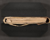 Secreti e remedi per diverse malattie del corpo umano e delle bestie