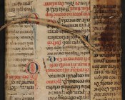 Secreti e remedi per diverse malattie del corpo umano e delle bestie