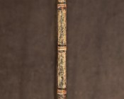 Priviliegia, gratiae, favores, immunitates, exemptiones, et indulta Canonicorum Regularium S. Salvatoris ordinis