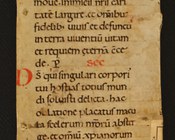MEDICI, LORENZO DE <1449-1492>, Stanze belissime et ornatissime intitulate Selue damore. Composte dal Magnifico Lorenzo di Piero di Cosimo de Medici. Opera nuoua
