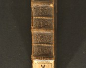 CAVICEO IACOPO, Il peregrino